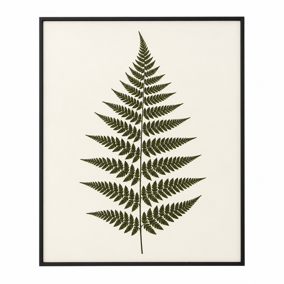 Botanical wall decor 006 isolated white background