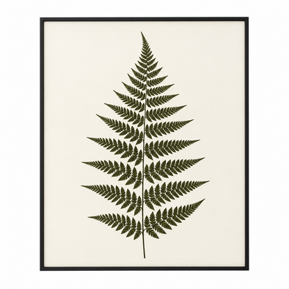 Botanical wall decor 006 isolated white background